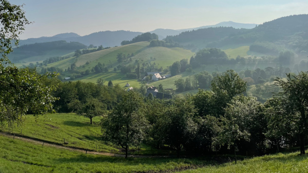Foto Ferienwohnung Kapellenhof Glottertal