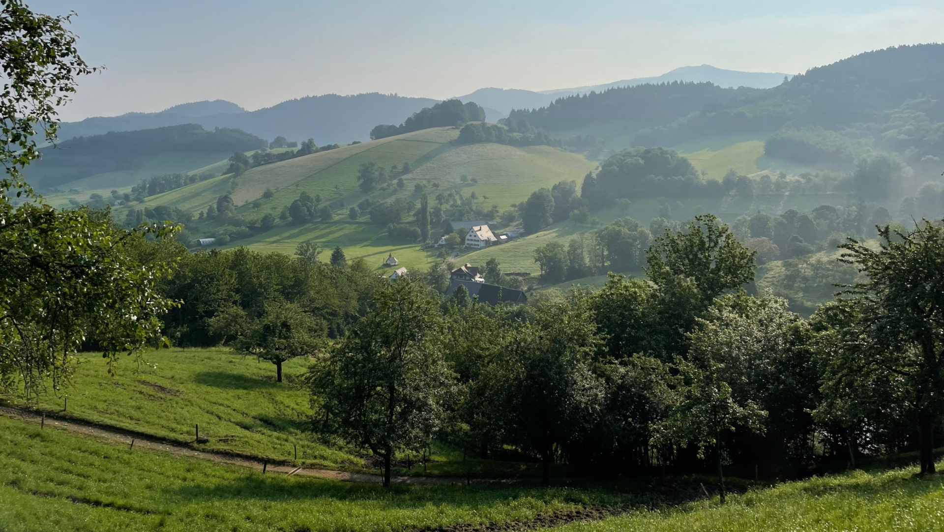 Foto Landschaft vom Glottertal