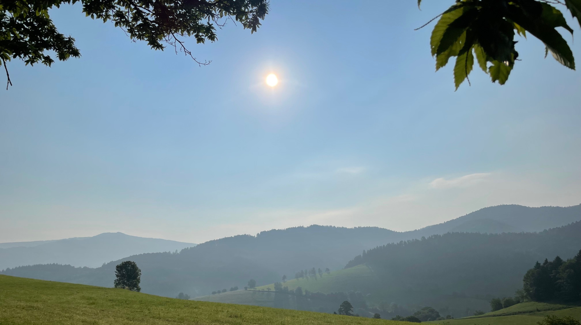 Landschaft im Glottertal im Schwarzwal