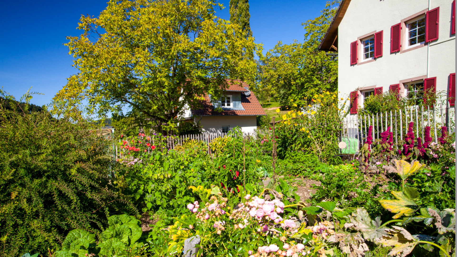 Foto vom Kapellenhof Glottertal - Ferien auf dem Bauernhof im Schwarzwald