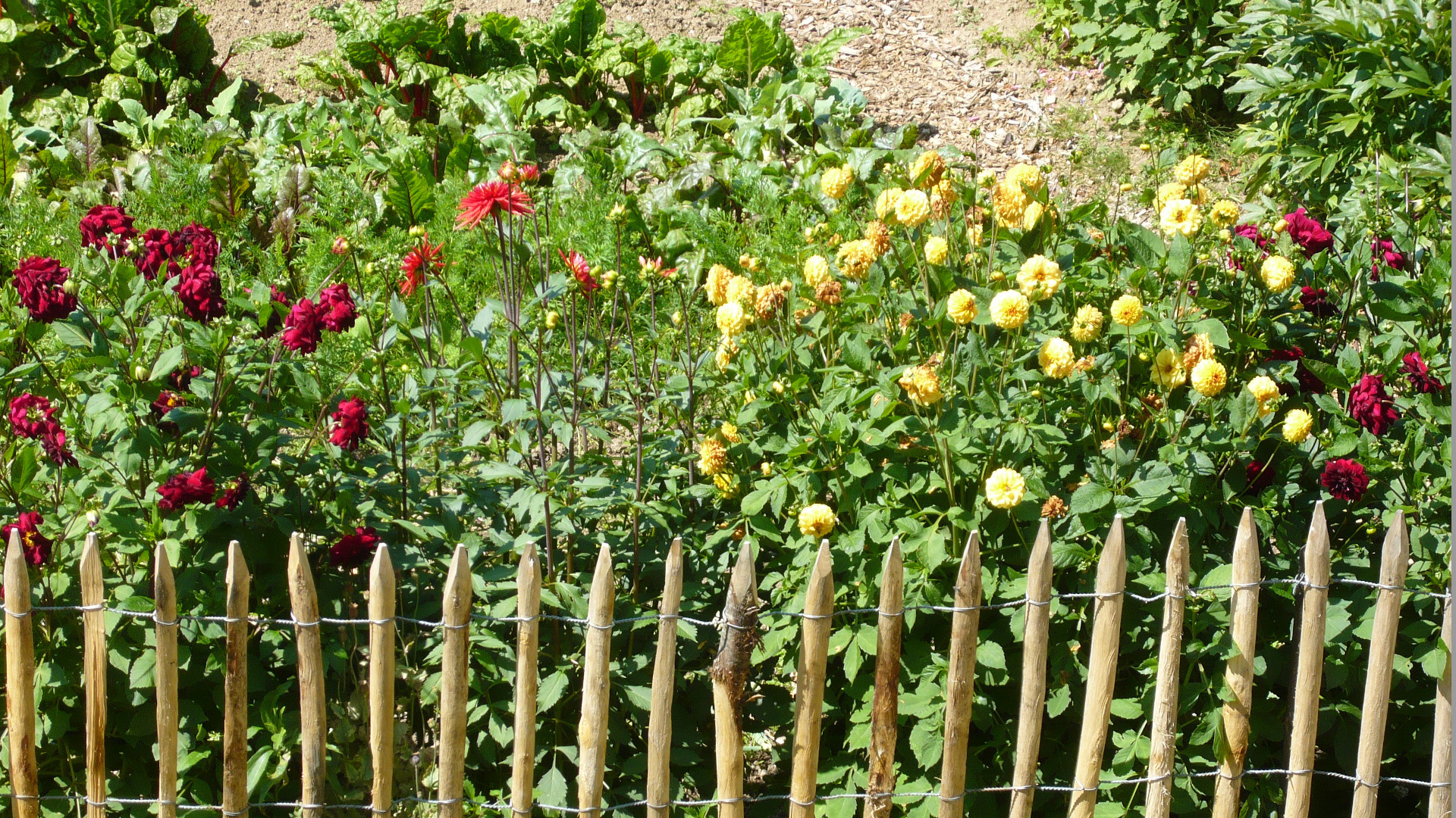 Foto Hof und Garten Kapellenhof in Glottertal