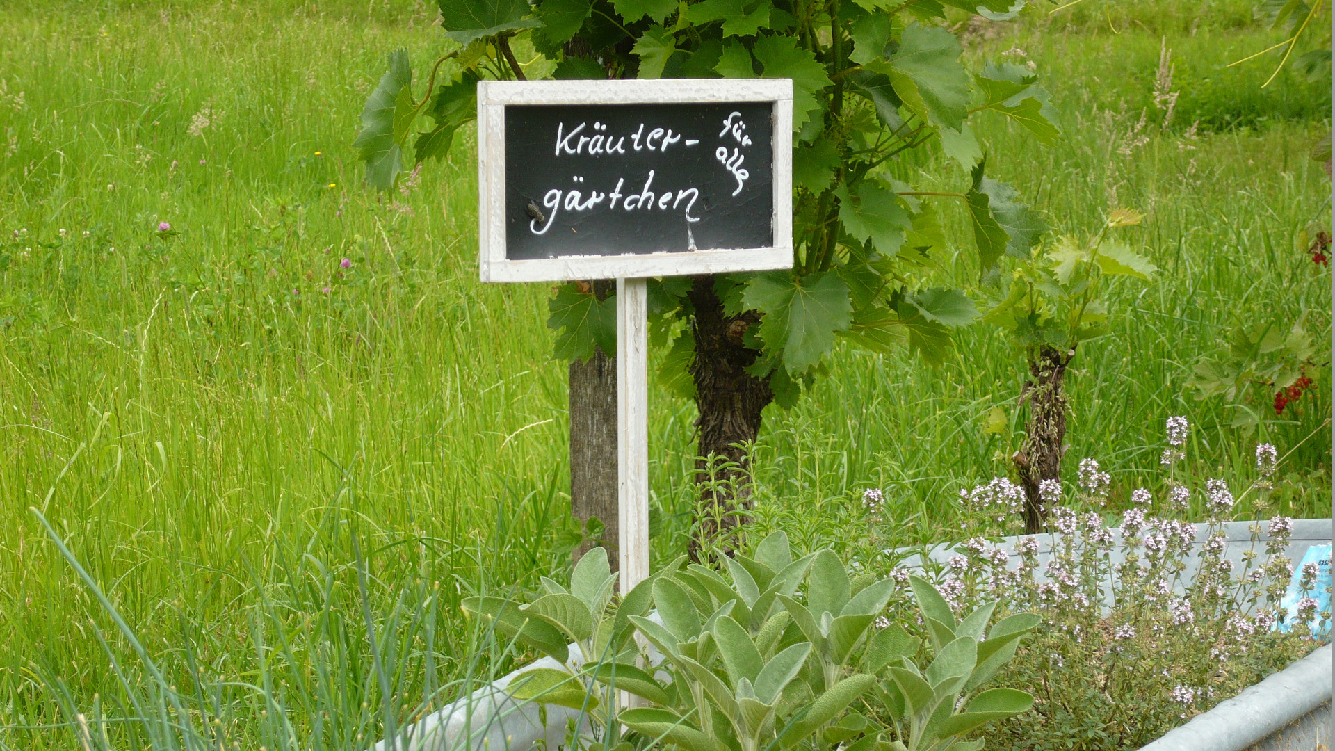 Foto vom Kapellenhof in Glottertal - Ferienhaus und Ferienwohnung